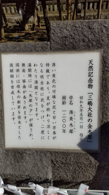 三嶋大社の説明20221103