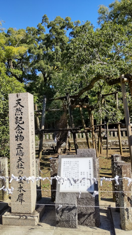 三嶋大社の石碑20221103