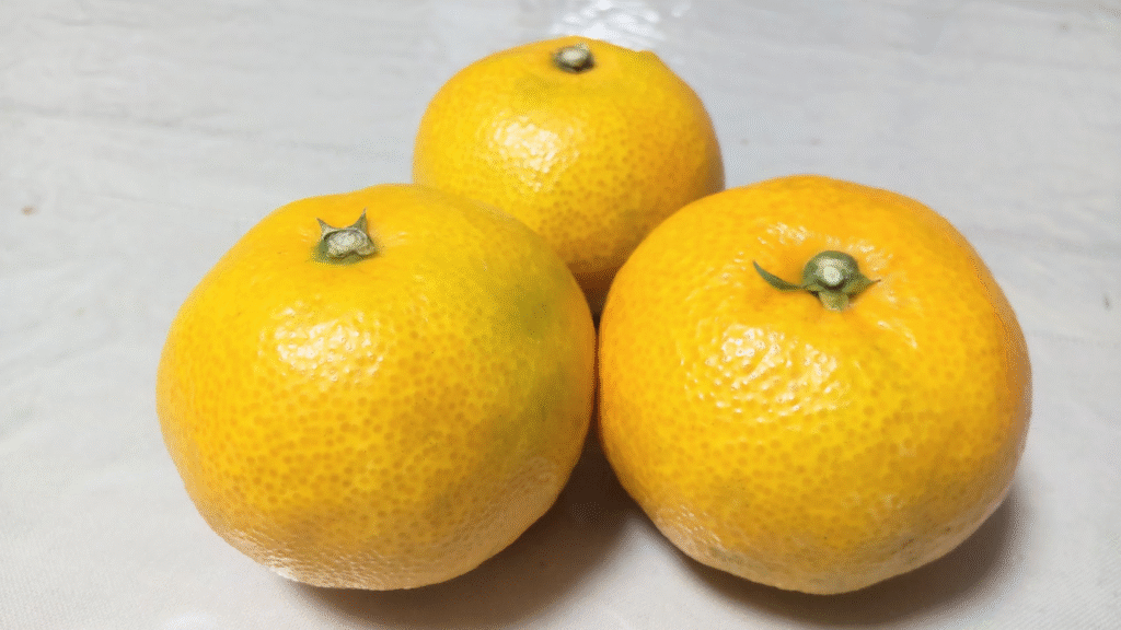 由良20251028日髙さんからいただく