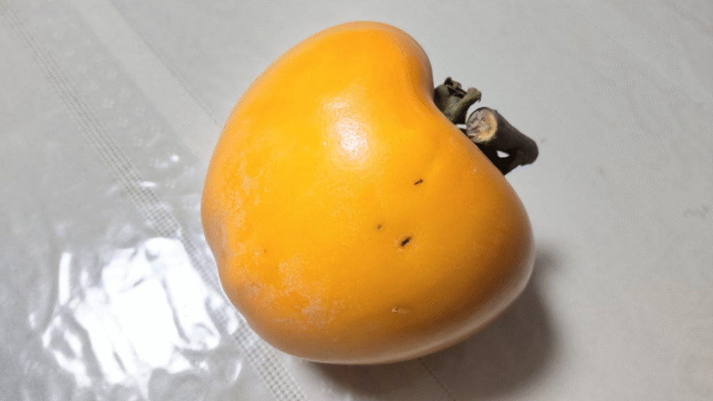 ２０２５１１１９
