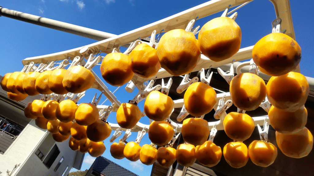 甲州百目柿２０２５１１２０干して２日目