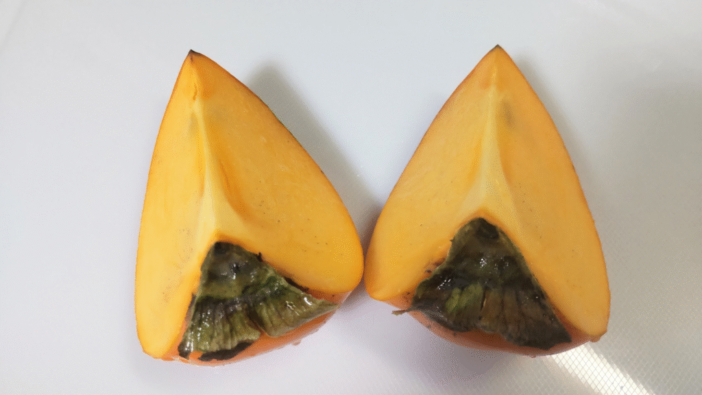 富士柿カット２０２５１１２０