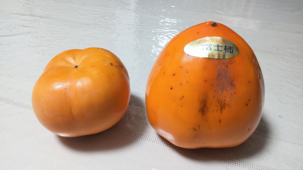 富士柿と次郎の比較２０２５１１１９