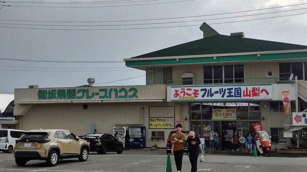 桃狩り20250710笛吹市