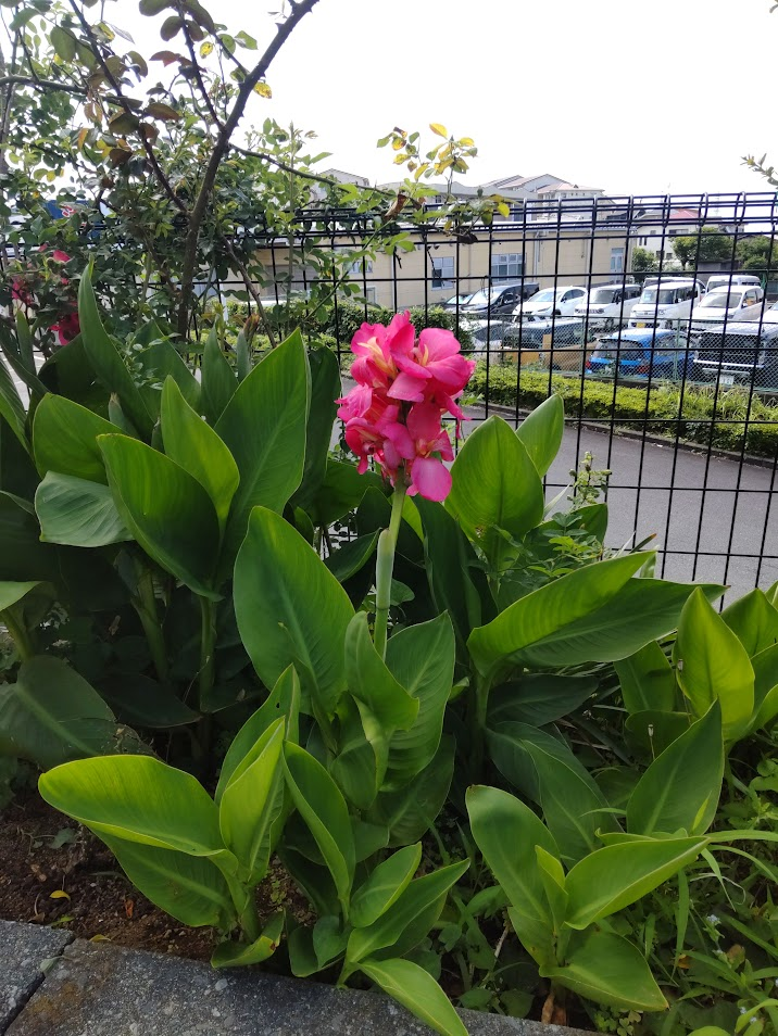 かんな20240611さなださん