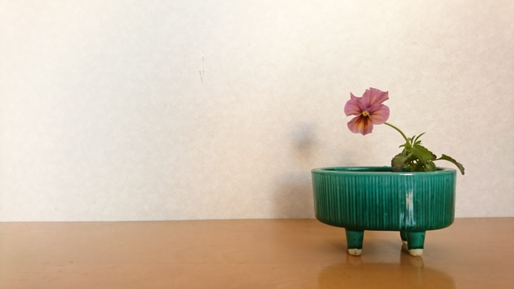 ビオラ２０１８０１１４