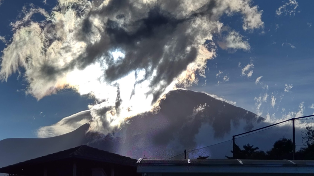 すばしり２０２２０９０６