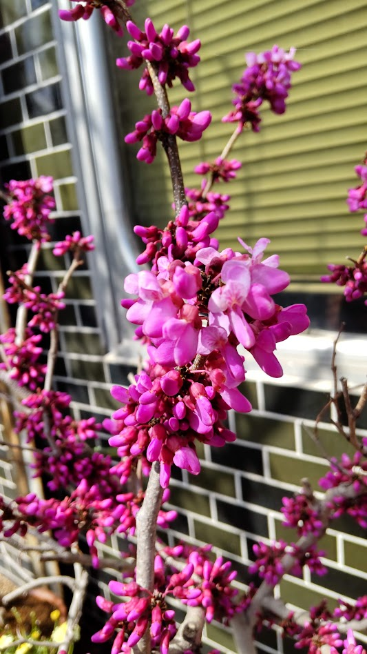 すおう２０２２０３２０長泉